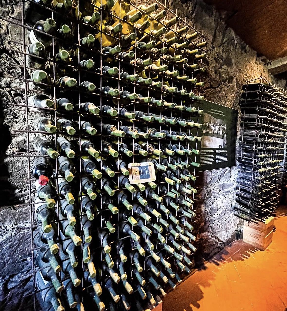 Douro Valley Small Group Tour: 2 Wineries, Lunch & River Cruise