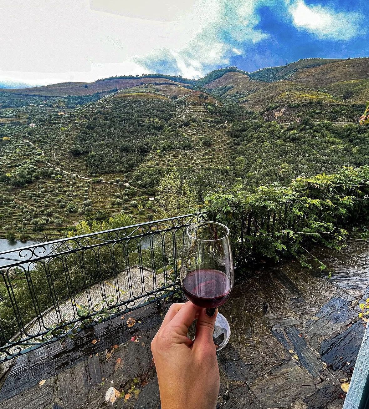 Douro Valley Small Group Premium Wine Tour Lunch and Private Boat